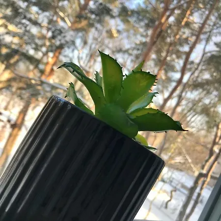 Apartmán Apetyt Na Z Prywatna Sauna